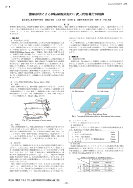 微細形状による神経細胞突起の3次元的培養方向制御