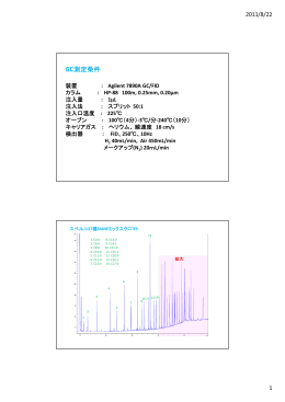 GC測定条件
