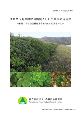 クロマツ海岸林に自然侵入した広葉樹の活用法 ―松