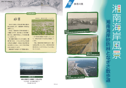 湘南海岸砂防林となぎさ散歩道