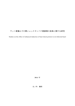 ラット梗塞心での熱ショックタンパク質誘導の効果