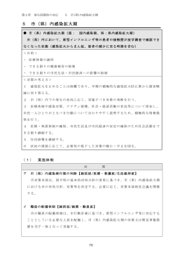 5 市（県）内感染拡大期