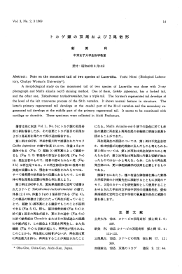 ト カ ゲ 類 の 双 尾 お よ び3尾 奇 形 新 美 利 主 要 文 献 - J