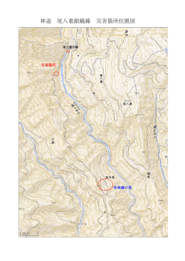 林道 尾八重銀鏡線 災害箇所位置図