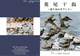 荒尾干潟～渡り鳥のオアシス - ラムサール条約登録湿地関係市町村会議