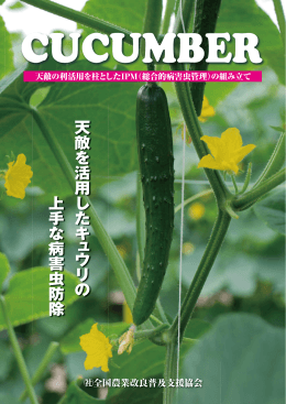 天 敵 を 活 用 し た キ ュ ウ リ の 上 手 な 病 害 虫 防 除