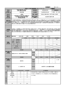 平成25年行政事業レビューシート （内閣府） 事業番号