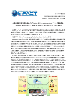 内閣府革新的研究開発推進プログラム（PM 山川