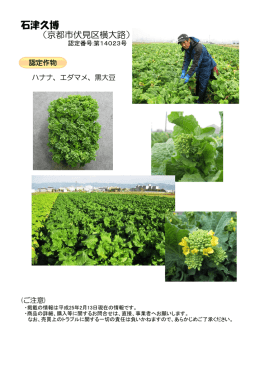 石津 久博（PDF：354KB）