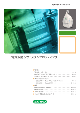 電気泳動＆ウェスタンブロッティング - Bio-Rad