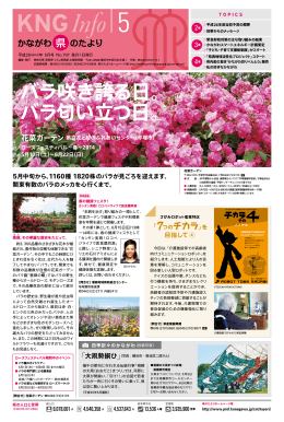 バラ咲き誇る日。 バラ匂い立つ日。