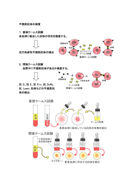 不規則抗体の検査 1．直接クームス試験 赤血球に結合した抗体の存在を