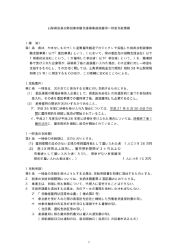成長分野就業体験支援事業直接雇用一時金支給要綱（PDF