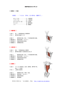 浅背筋・・・「 大人も 子供も 広い背中は 健康そう 」 【 大菱形筋 】 【 小菱形