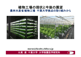 講演 「植物工場の現状と今後の展望－農林水産省 植物工場千葉大学