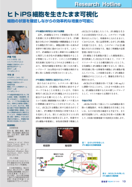 ヒトiPS細胞を生きたまま可視化 - AIST： 産業技術総合研究所