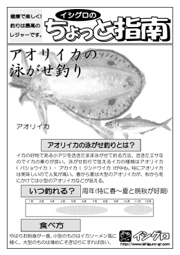イカの好物である小アジを活きたまま泳がせて釣る方法。活きたエサな