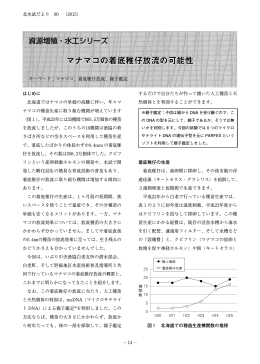 マナマコの着底稚仔放流の可能性 （PDF：1.23MB）