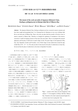 三河湾六条潟におけるアサリ着底初期稚貝の動態 Movement