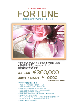 期間限定プラン『フォーチュン』