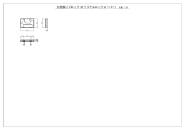 大型張りブロック(オリジナルロックスーパー)