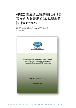 APEC 発展途上経済圏における 石炭火力発電用CCS