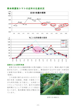 熊本県夏秋トマトの近年の生産状況
