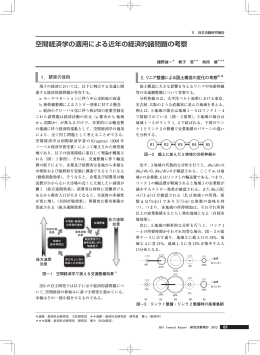 空間経済学の適用による近年の経済的諸問題の考察