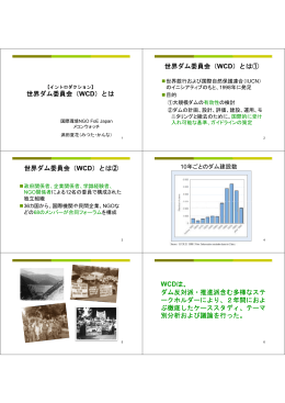 とは 世界ダム委員会（WCD） - 国際環境NGO FoE Japan