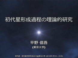初代星形成過程の理論的研究