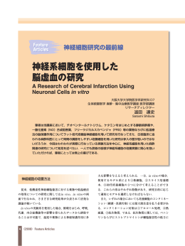 PDFをダウンロード（1012 KB）