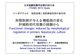形態制御が与える機能面の変化 肝細胞初代培養の経験から