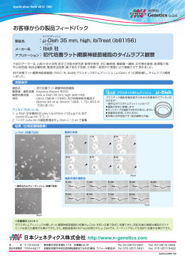 初代培養ラット網膜神経節細胞のタイムラプス観察/日本語