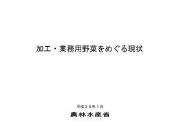 加工・業務用野菜をめぐる現状（PDF：620KB）