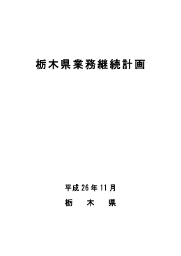 栃木県業務継続計画（本文）（PDF：873KB）