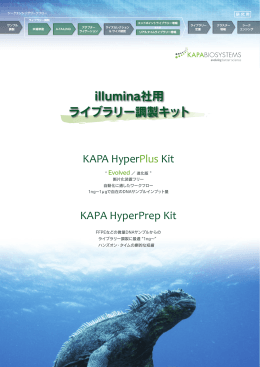 illumina社用 ライブラリー調製キット