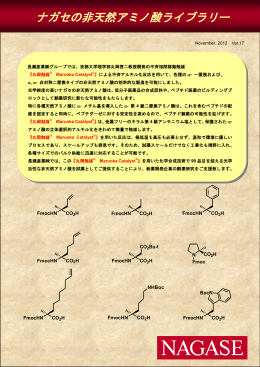 ナガセの非天然アミノ酸ライブラリー