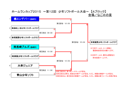 ホームランカップ2015 ～第12回 少年ソフトボール大会～ 【Aブロック