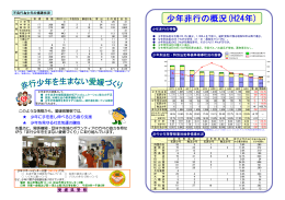 少年非行の概況(H24年)