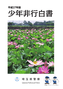 H27 少年非行白書-五.indd