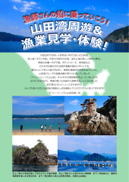山田湾周遊＆漁業見学・体験 チラシ