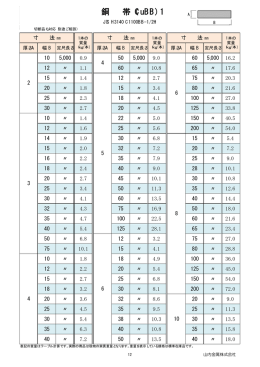 銅 帯（CuBB) 1