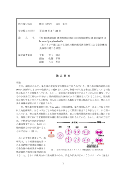 The mechanism of chromosome loss induced by an aneugen in