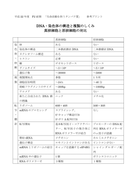 真核生物と原核生物