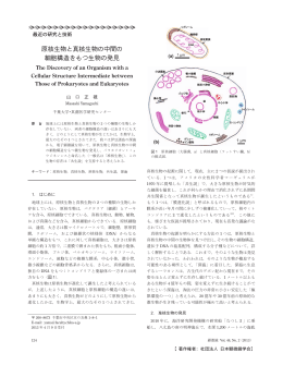 原核生物と真核生物の中間の 細胞構造をもつ生物の