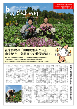 在来作物の『田川焼畑赤かぶ』。 山を焼き、急斜面での作業が