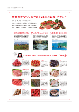 くまもとの赤うまかモンフェア2015inTOKYO チラシ裏PDF