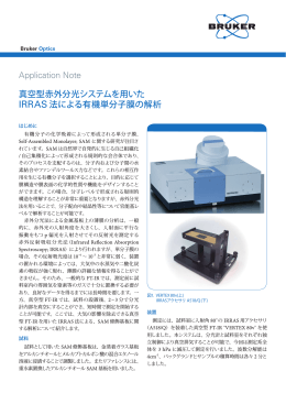 真空型赤外分光システムを用いたIRRAS 法による 有機単分子膜の解析