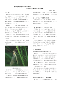 世知原町開作は県内における ミヤマアカネの唯一の生息地