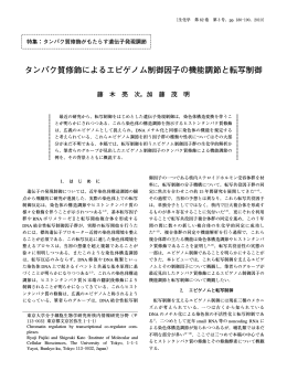 タンパク質修飾によるエピゲノム制御因子の機能調節と転写制御